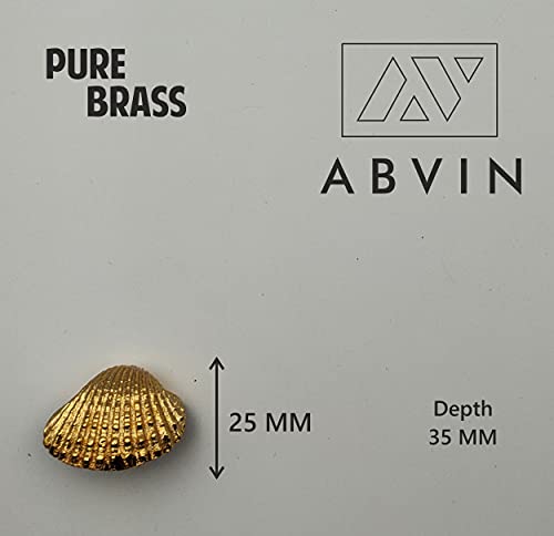 ABVIN Golden Solid Brass Shell Knobs - Unique Cabinet Pulls, Beautiful Drawer Knobs, Decorative Knobs, Dresser Knobs, Drawer Pulls, Knobs and Pulls - 1 Pcs