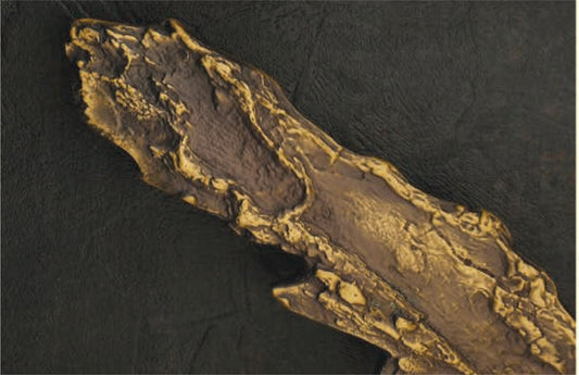 Pure Brass Antique Door Handle, Door Handles for Main Door, Royal Vintage Pull Hnadles - 1 Pcs